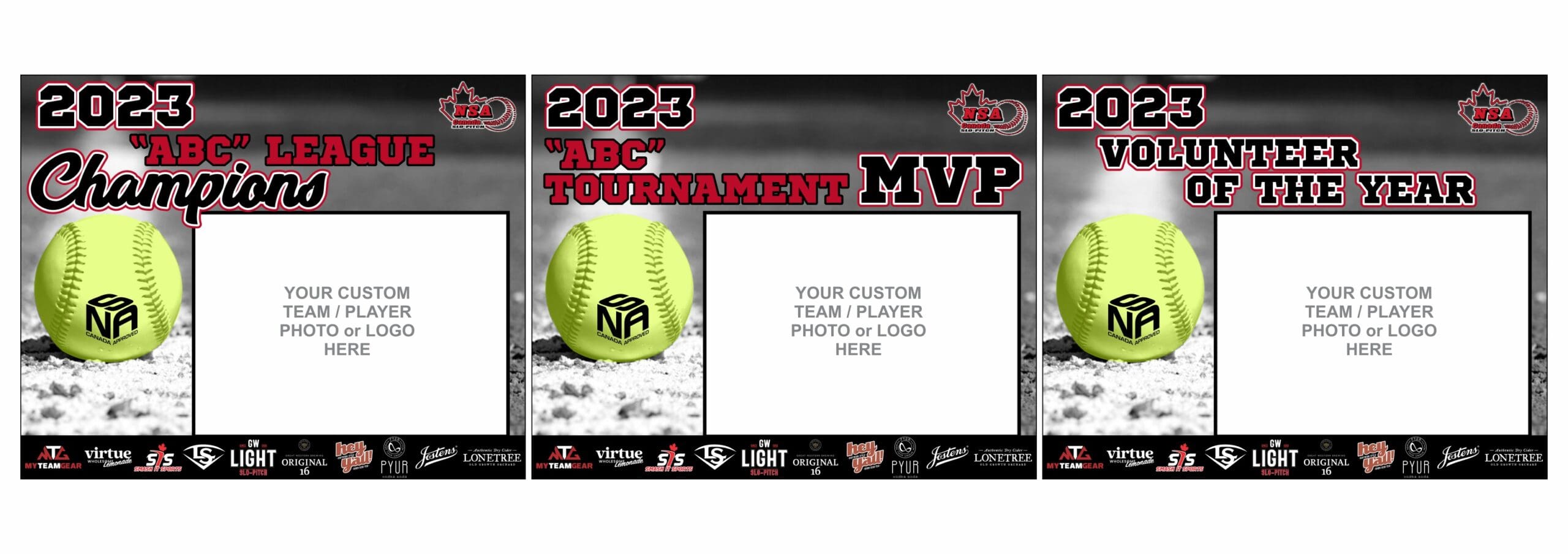 Champions/MVP/Recognition Awards Plaque