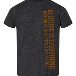 Edge Collection Toddler Attitude is Everything Short Sleeve Shirt
